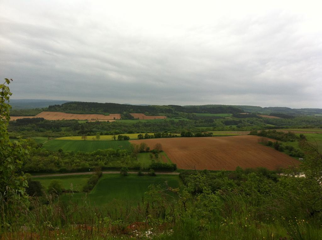 Le Relais Du Morvan Vézelay Eksteriør billede